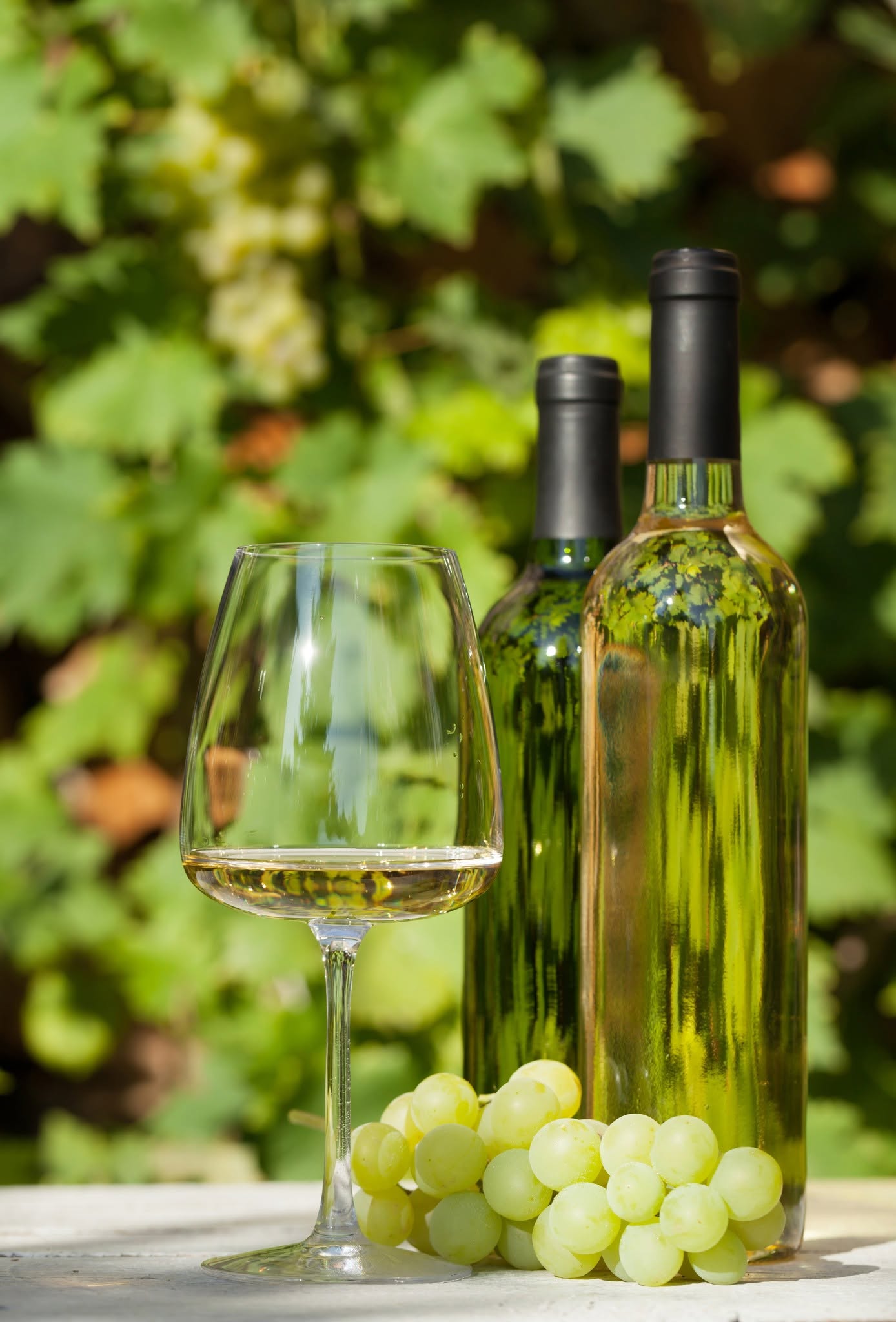  ALPLA – INOVAȚII SUSTENABILE. Sticla de vin PET reduce emisiile de carbon cu până 44% 